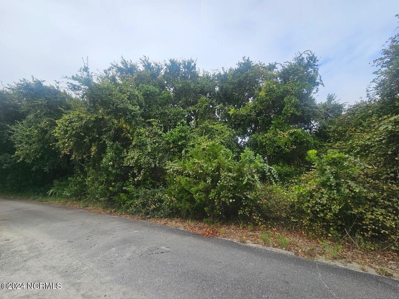 11 Royal Tern Court Property Photo 2