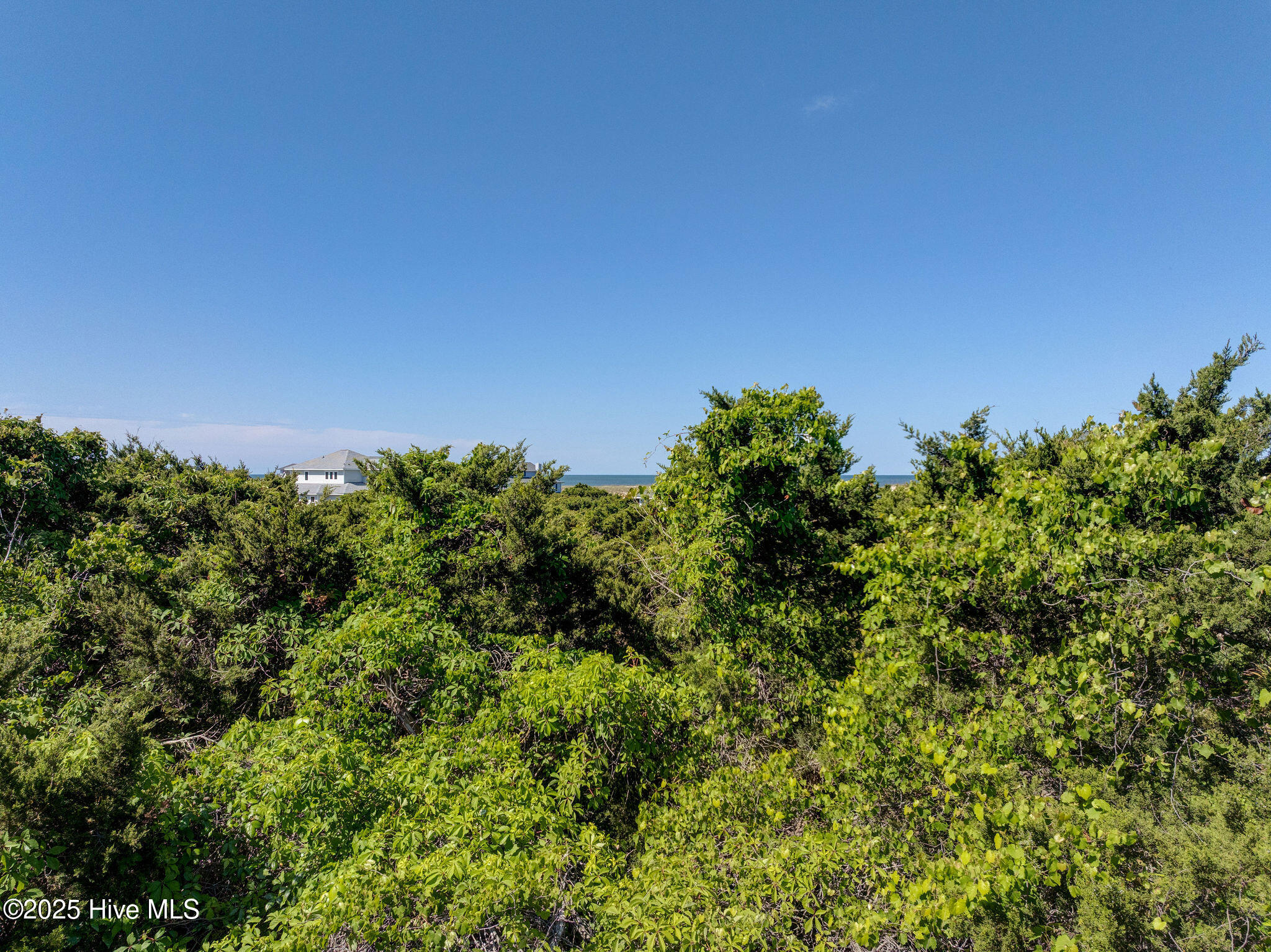 11 Royal Tern Court Property Photo 8