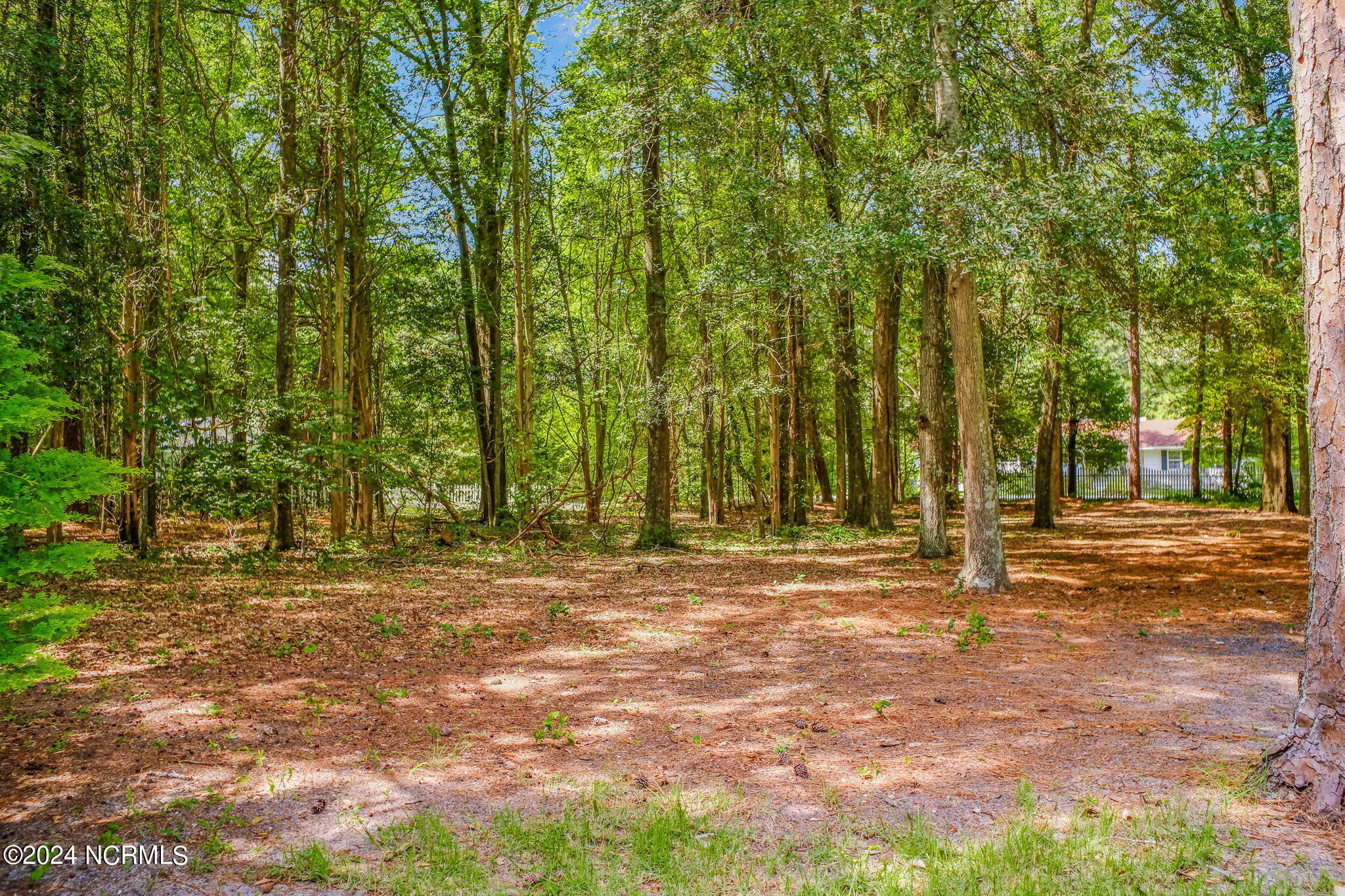 2315 Midland Road Property Photo 13
