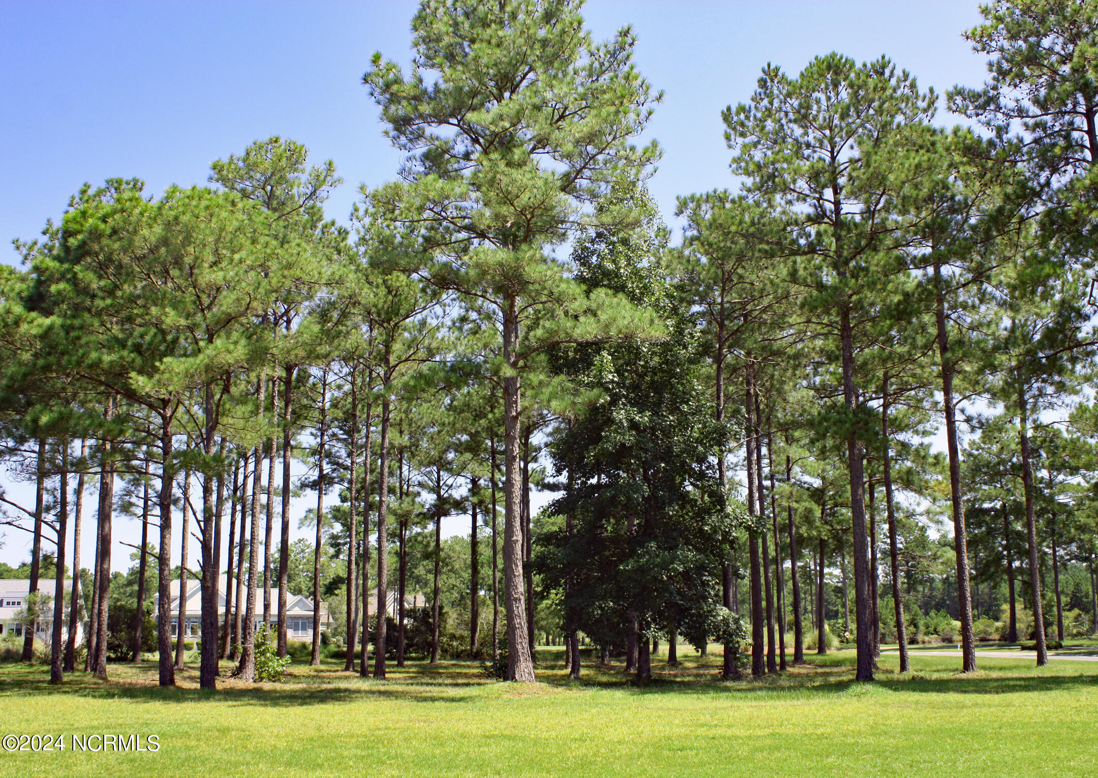 6552 Annesbrook Place Property Photo 3