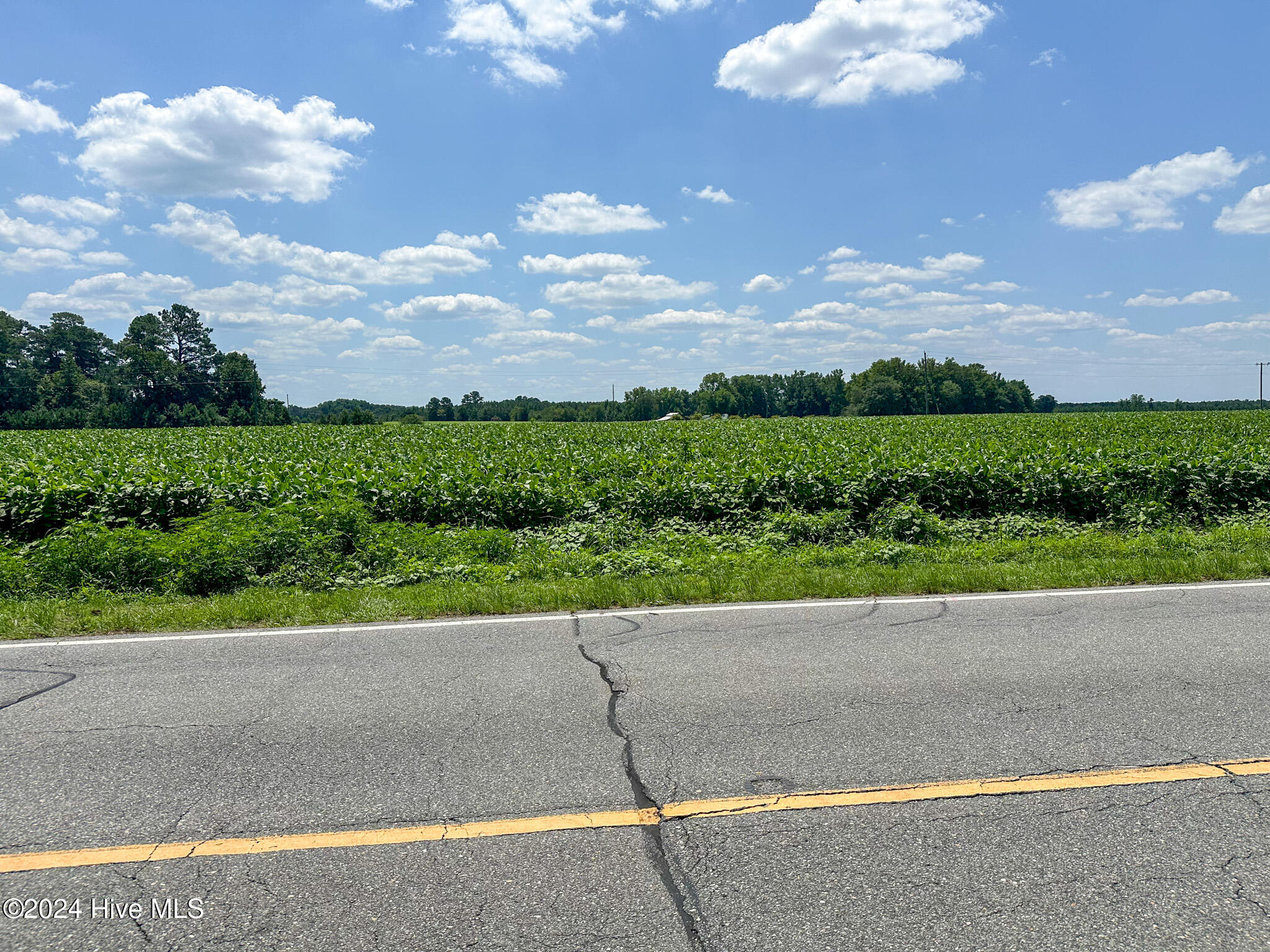 Tbd Old Us Hwy 701 Property Photo 22