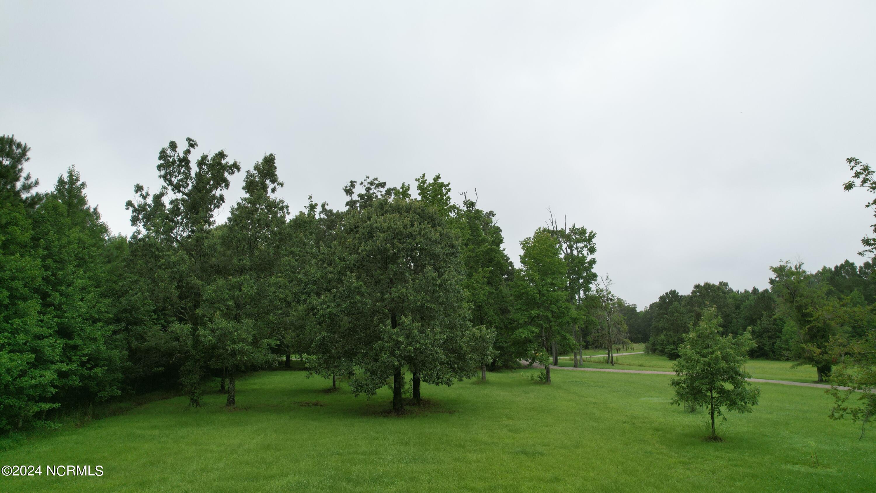 208 Osprey Drive Property Photo 6