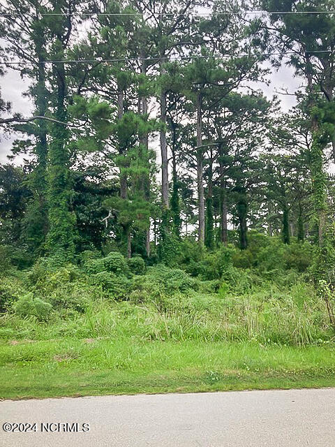 165 Polly Hill Road Property Photo 16