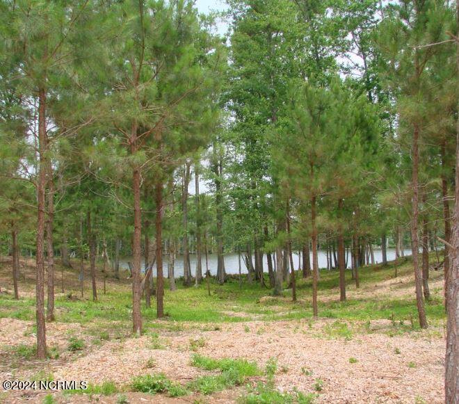 109 Norcum Point Road Property Photo 4