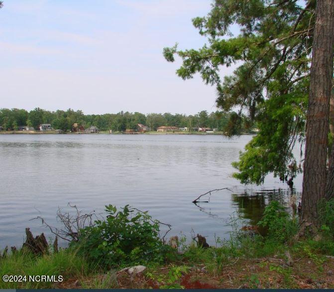 109 Norcum Point Road Property Photo 5