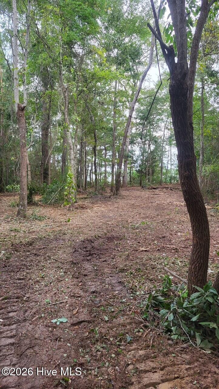 000 See Attached Blue Heron Drive Property Photo 44