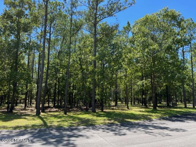 2907 Aranda Grove Property Photo 2