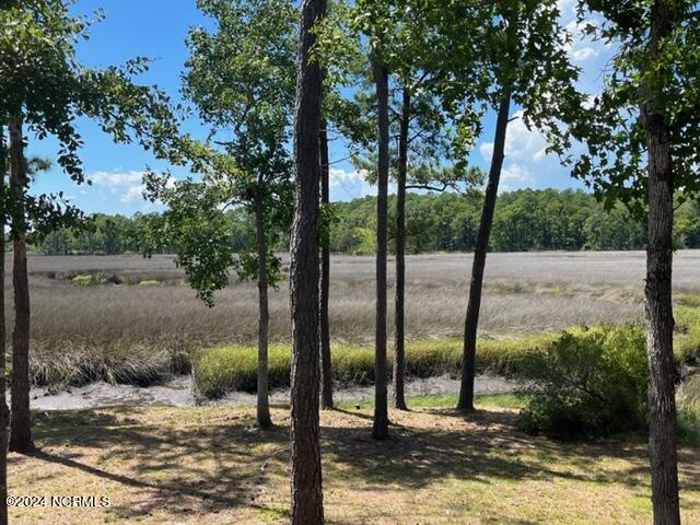 2907 Aranda Grove Property Photo 12