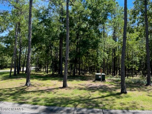 2907 Aranda Grove Property Photo 28