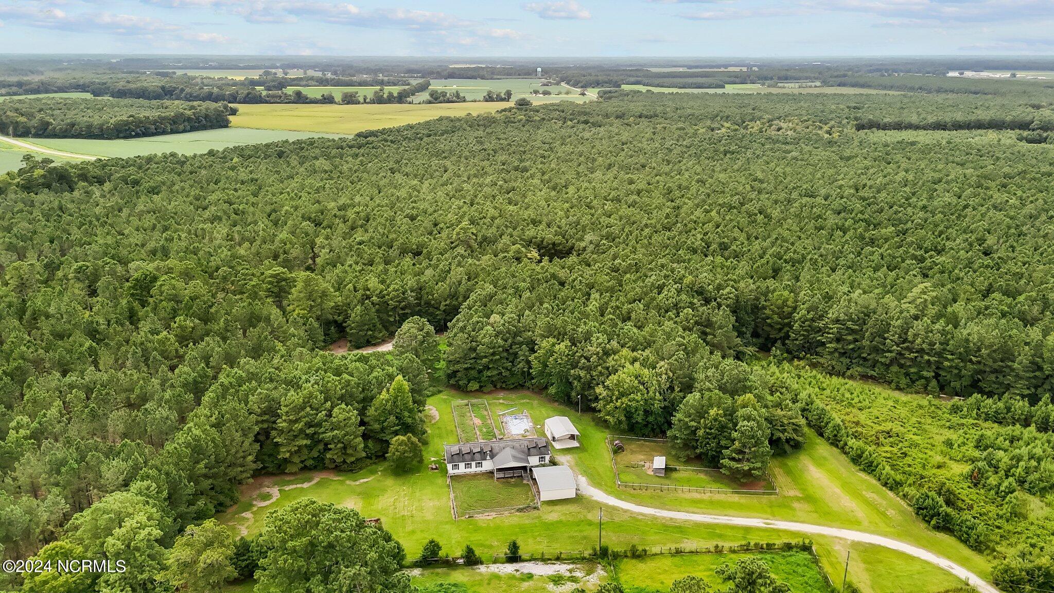 4118 Race Track Road Property Photo 43
