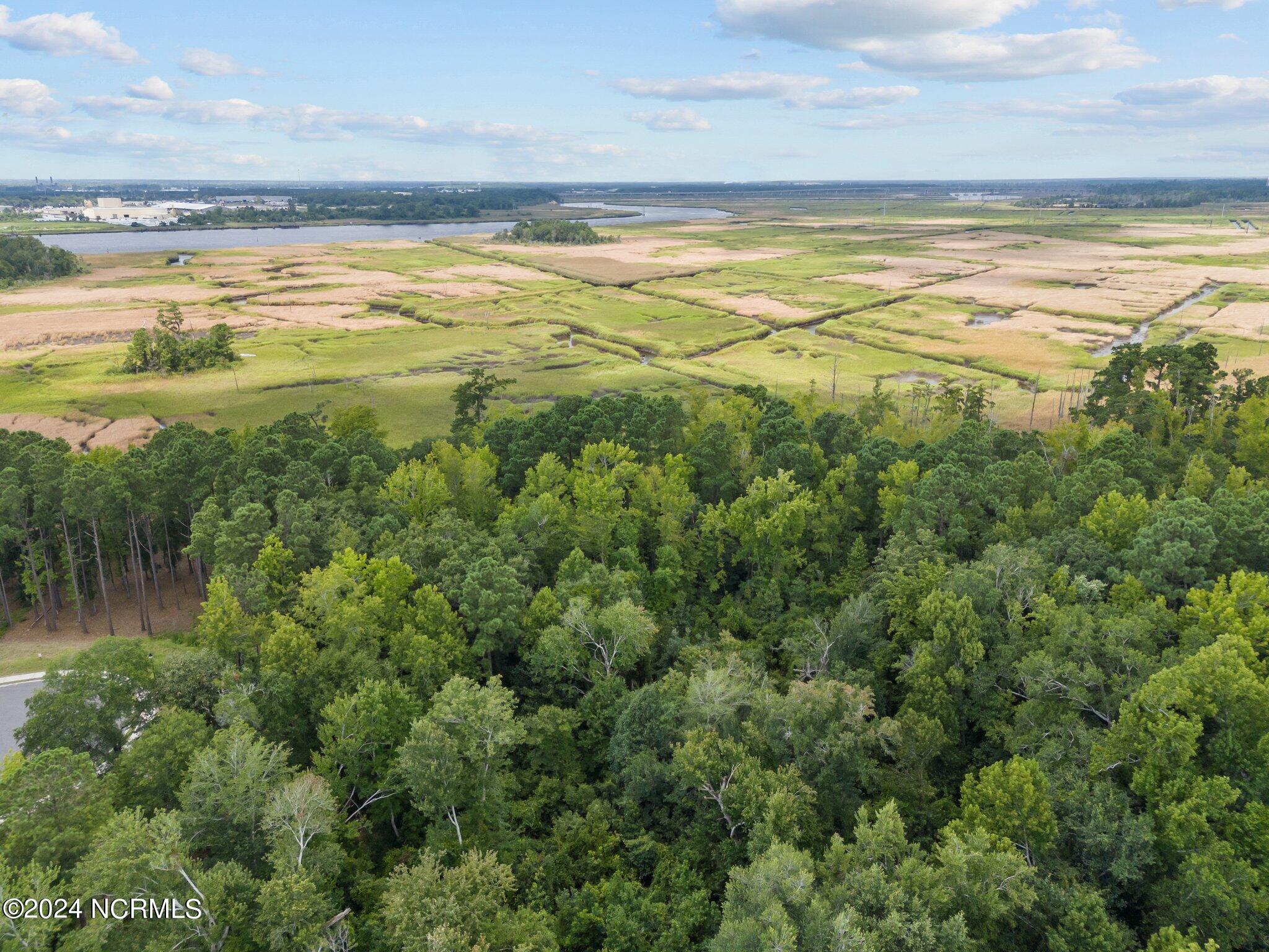 202 Palmetto Road Property Photo 4