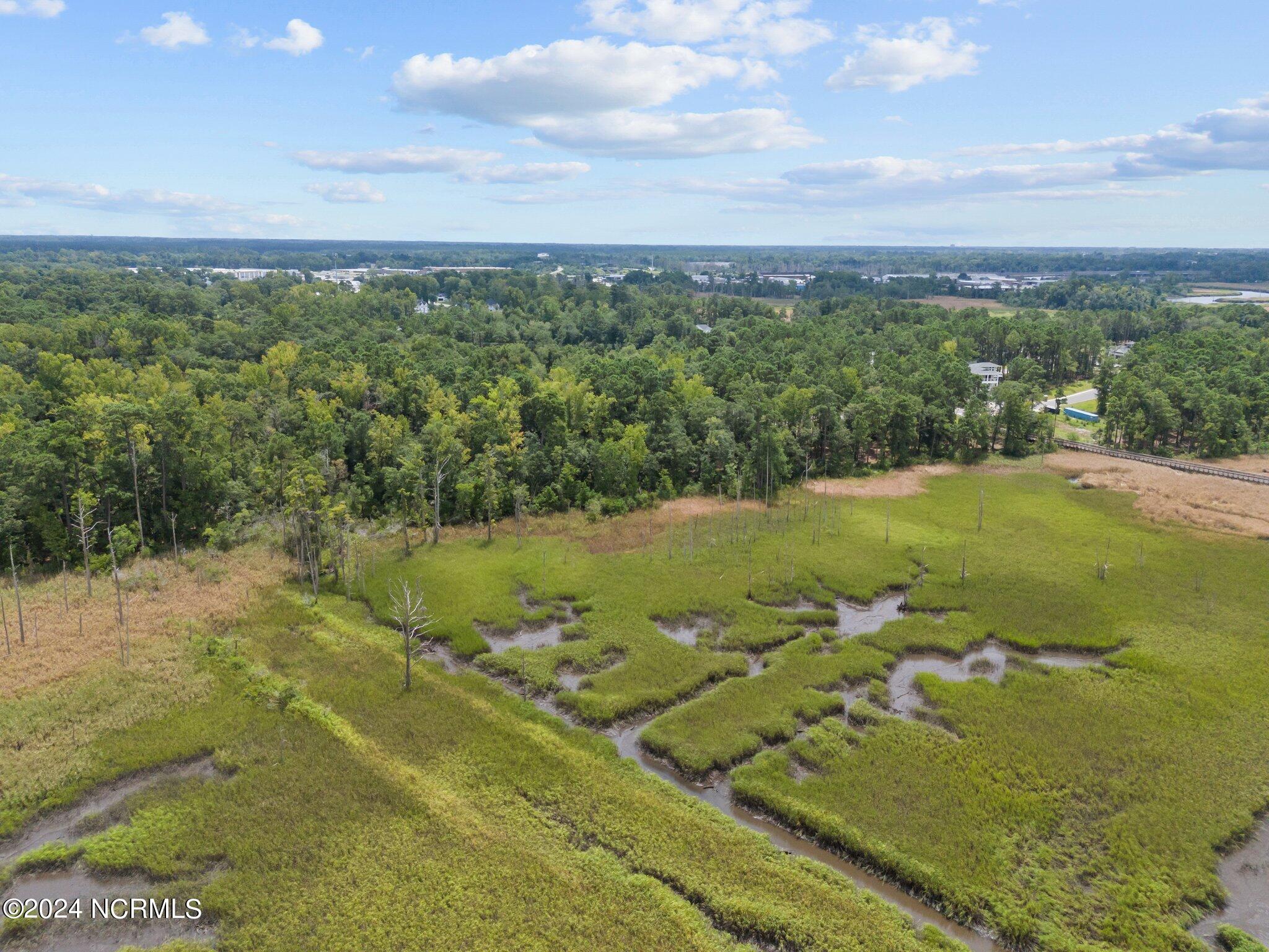202 Palmetto Road Property Photo 8