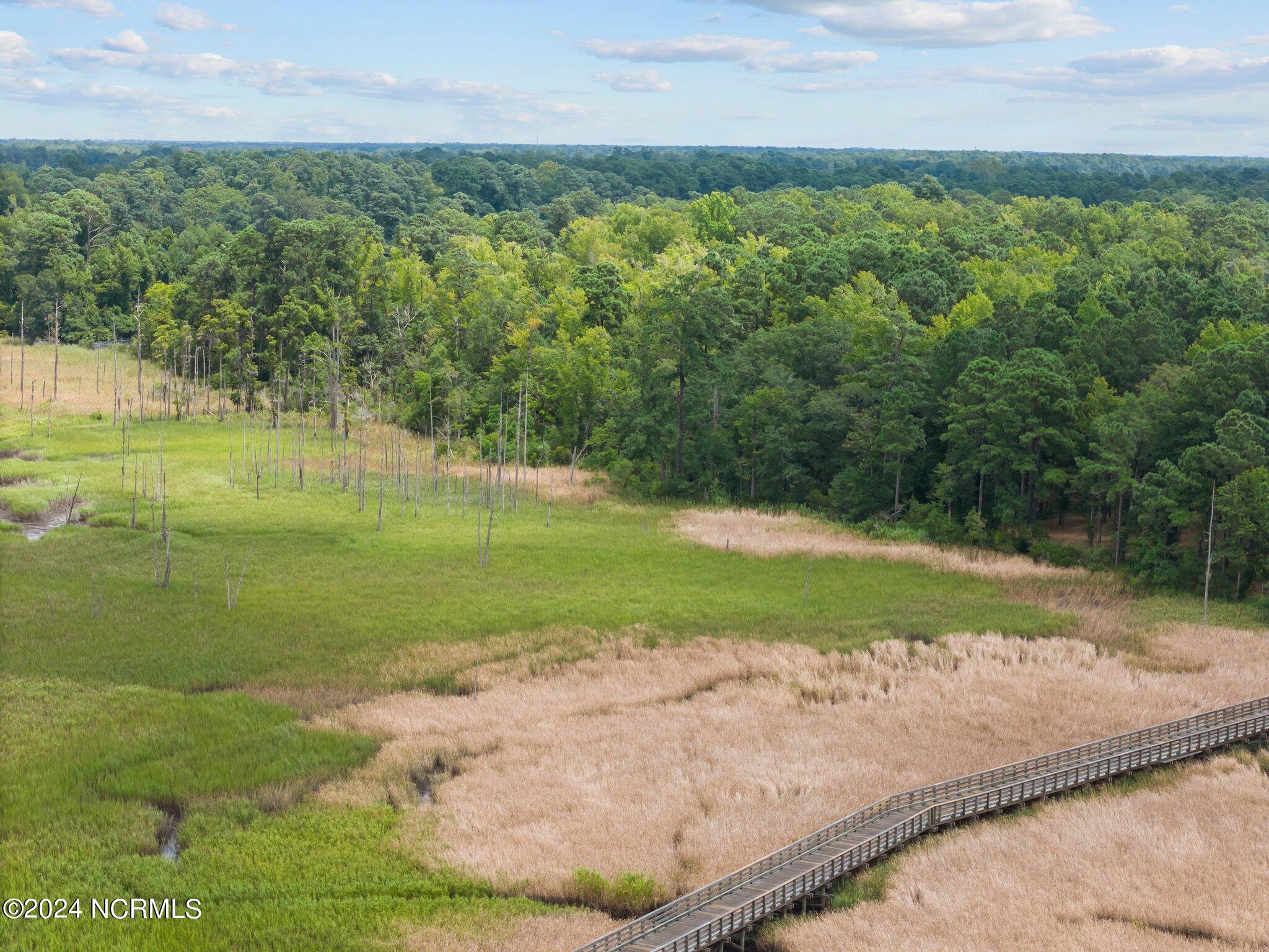 202 Palmetto Road Property Photo 11