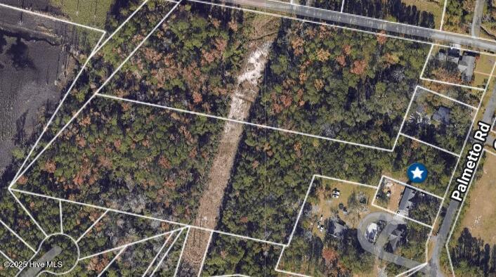 202 Palmetto Road Property Photo 13