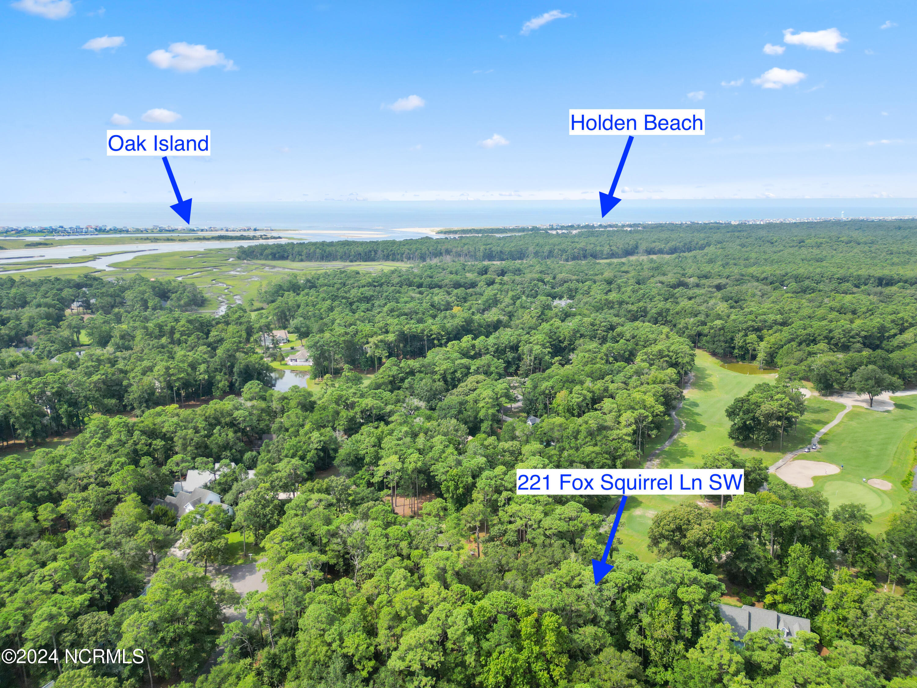 221 Fox Squirrel Lane Property Photo 1