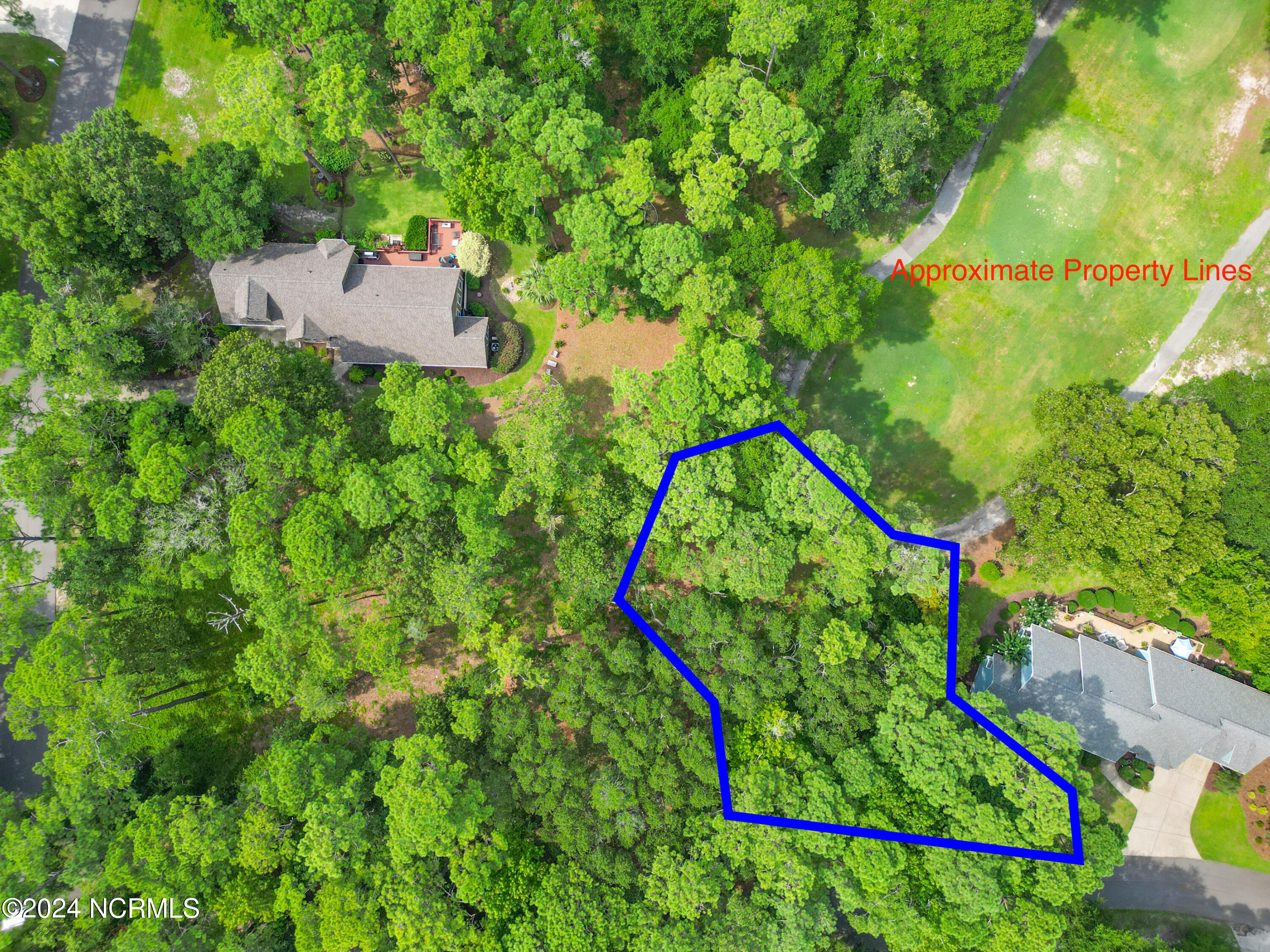 221 Fox Squirrel Lane Property Photo 2