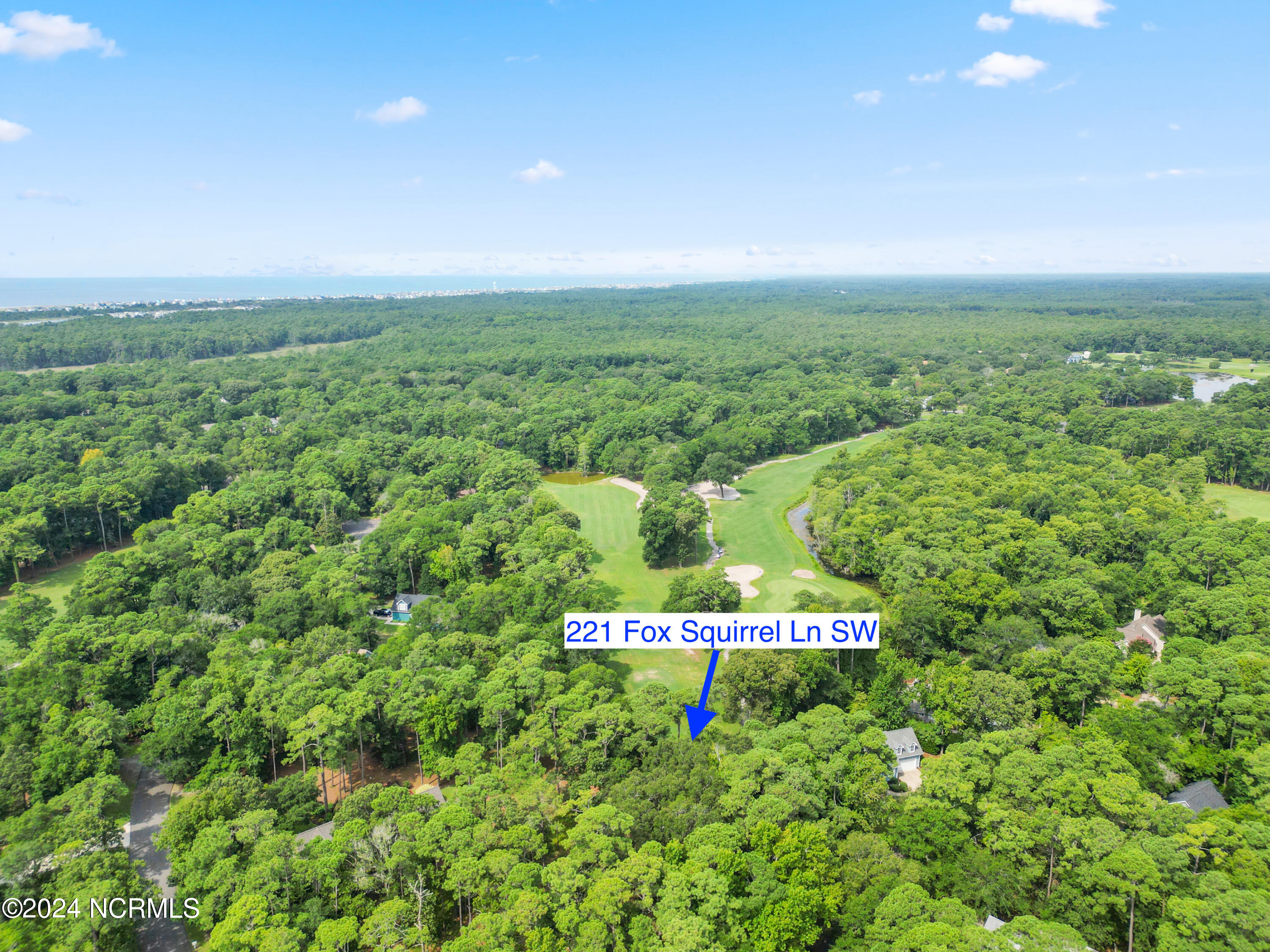 221 Fox Squirrel Lane Property Photo 3