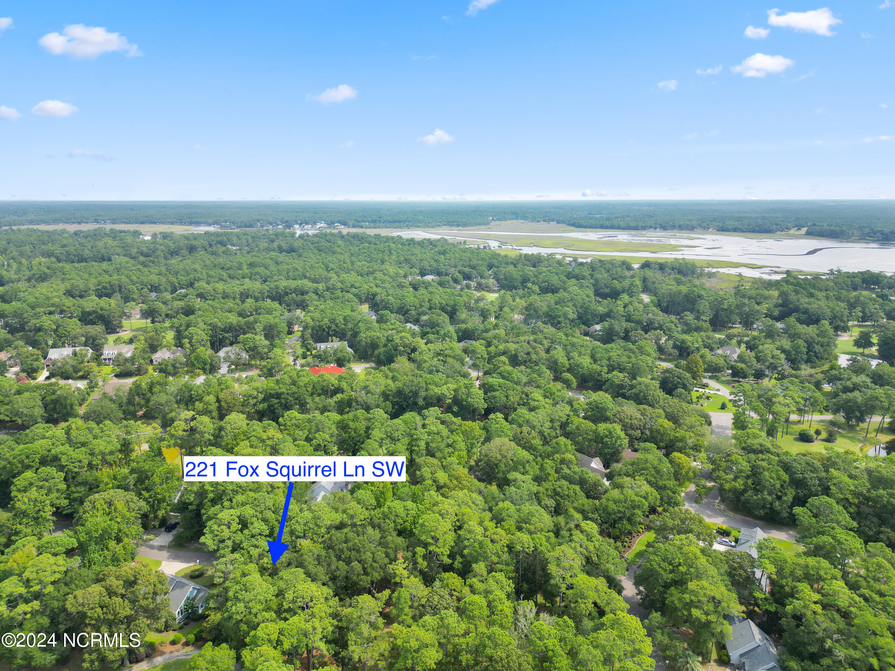 221 Fox Squirrel Lane Property Photo 4