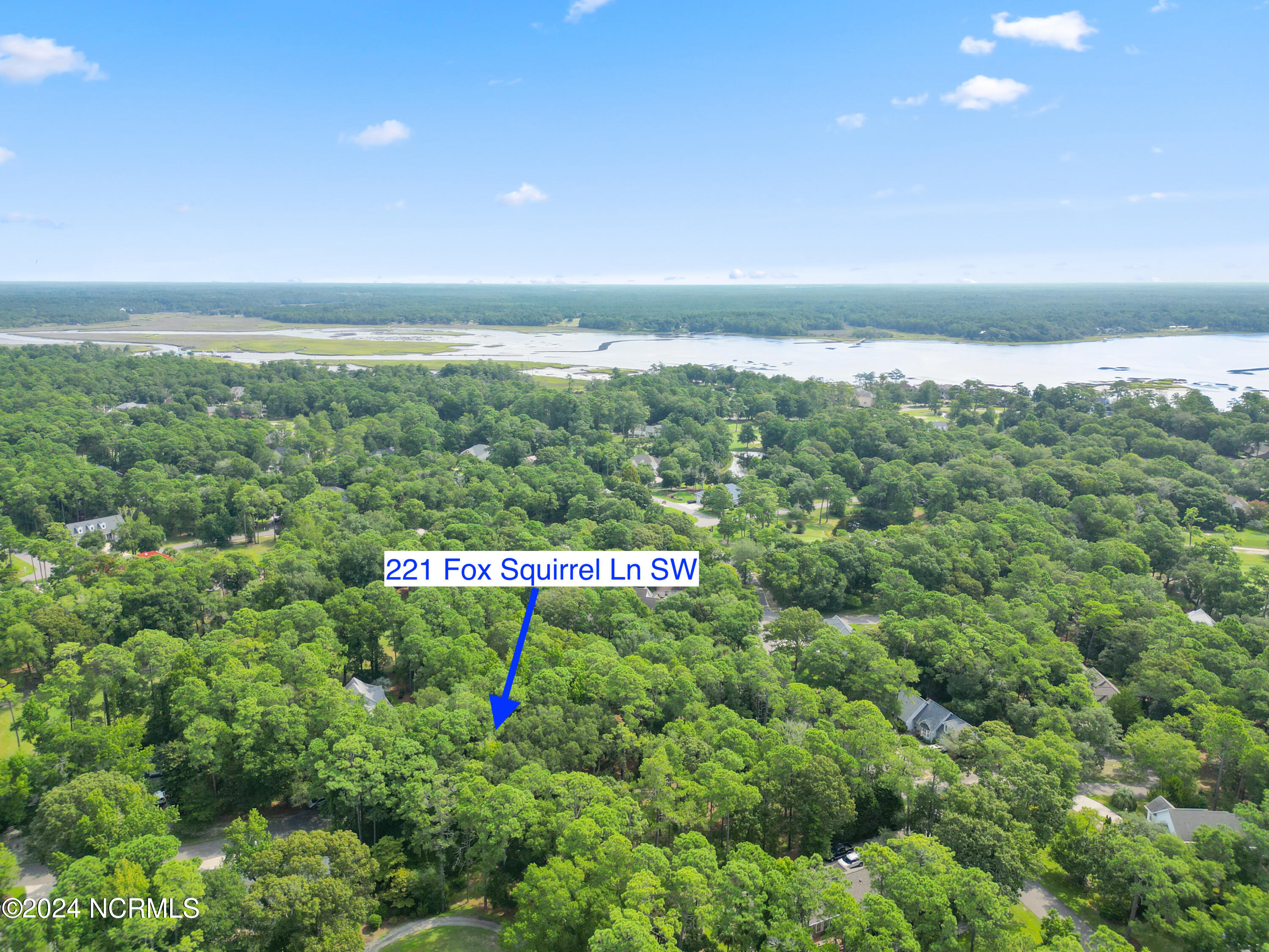 221 Fox Squirrel Lane Property Photo 5