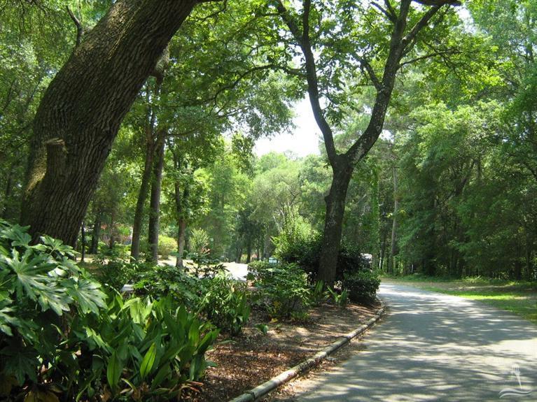 221 Fox Squirrel Lane Property Photo 24