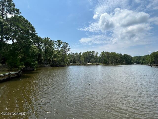 1039 Pasture Point Road Property Photo 4