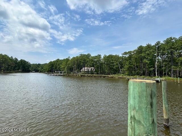 1039 Pasture Point Road Property Photo 21