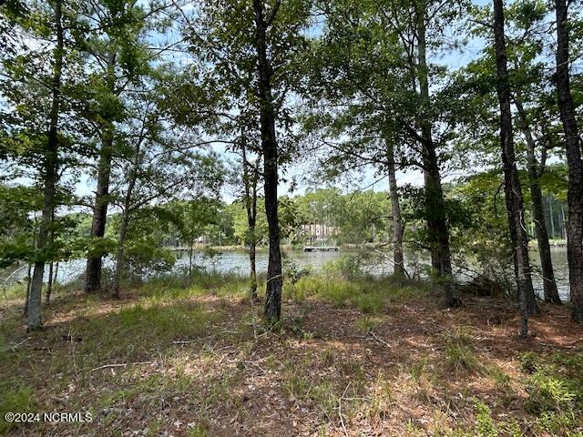 1039 Pasture Point Road Property Photo 75