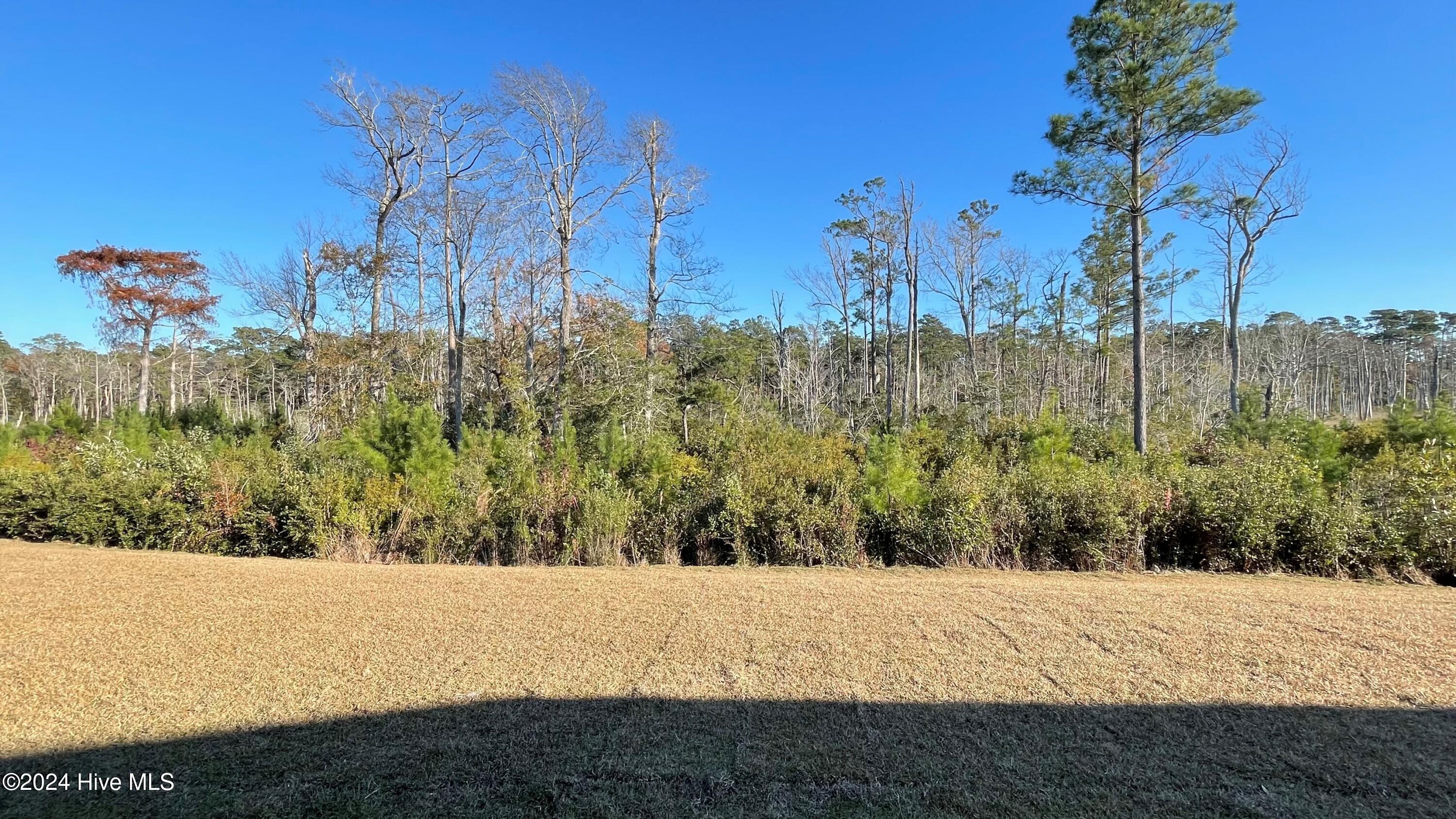 1211 Rippling Cove Loop Property Photo 2