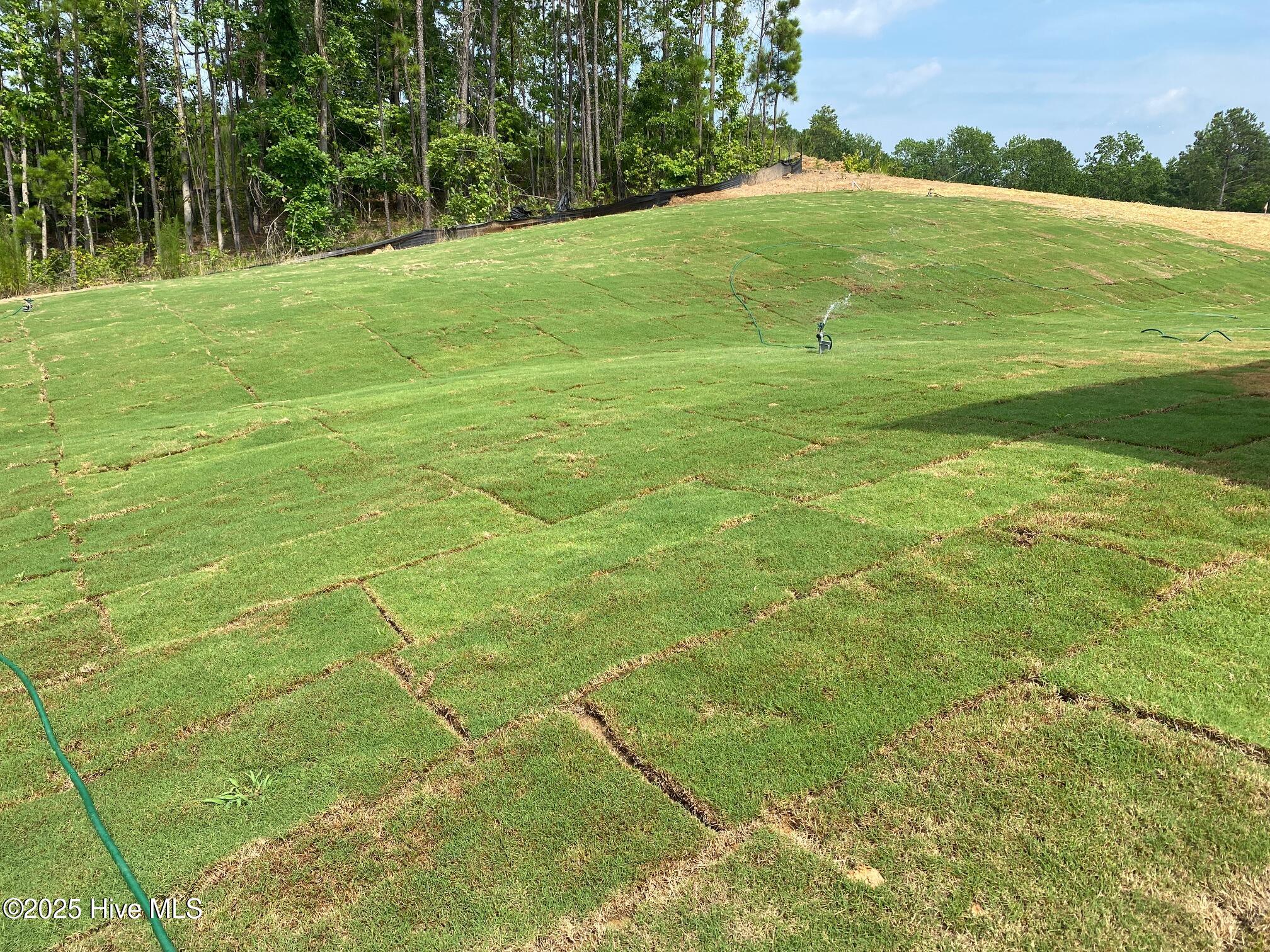 3859 Blackhills (lot 47) Road Property Photo 25