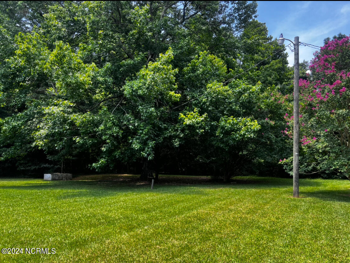 350 Highway 481 Property Photo 26