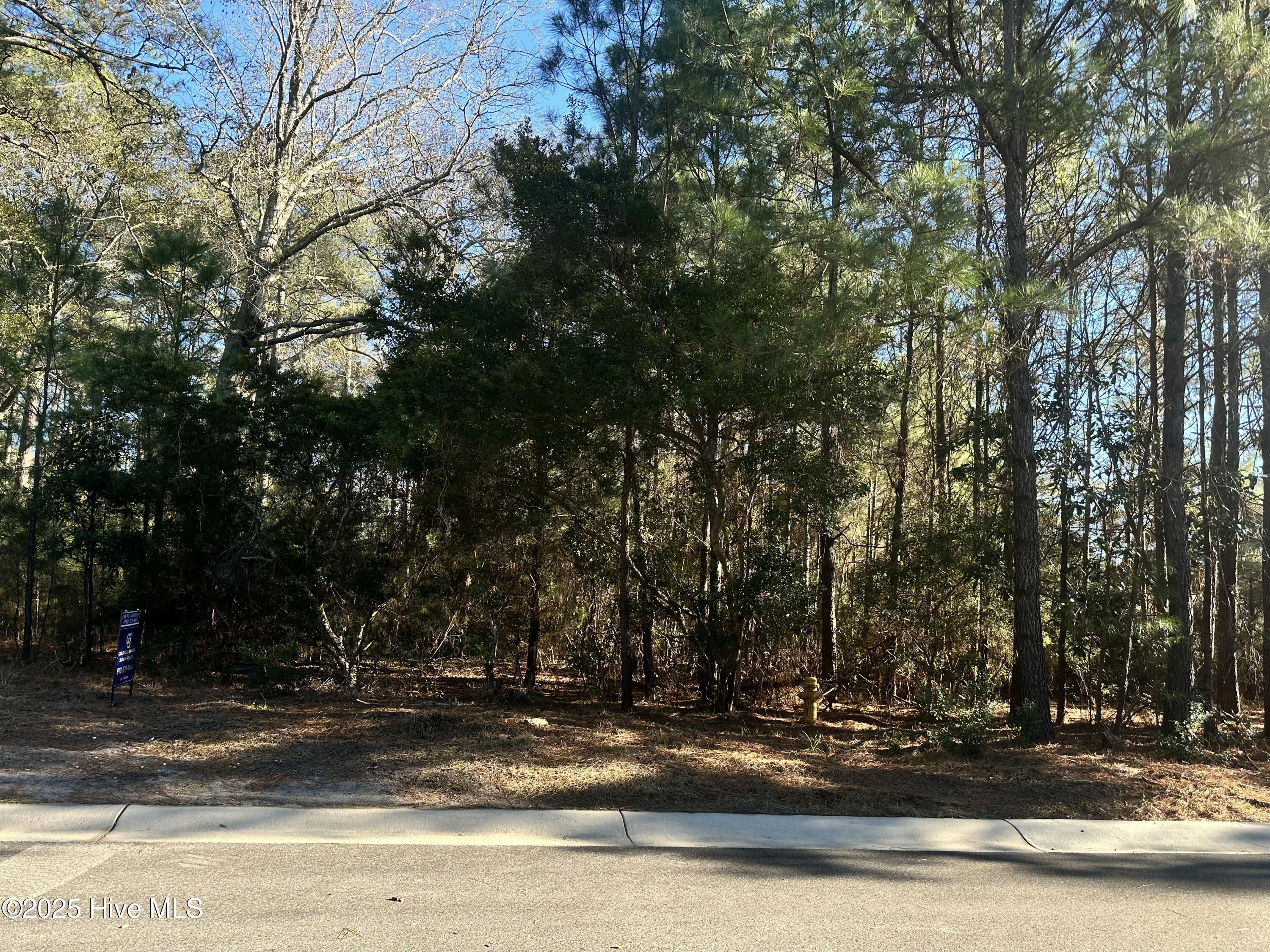 6073 Martinique Street Property Photo 1