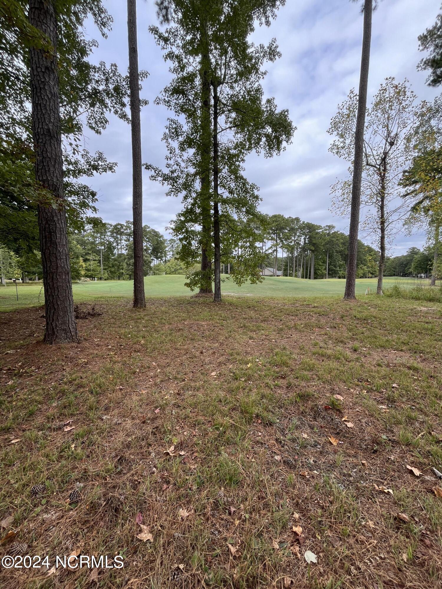 201 Neuse Drive Property Photo 1