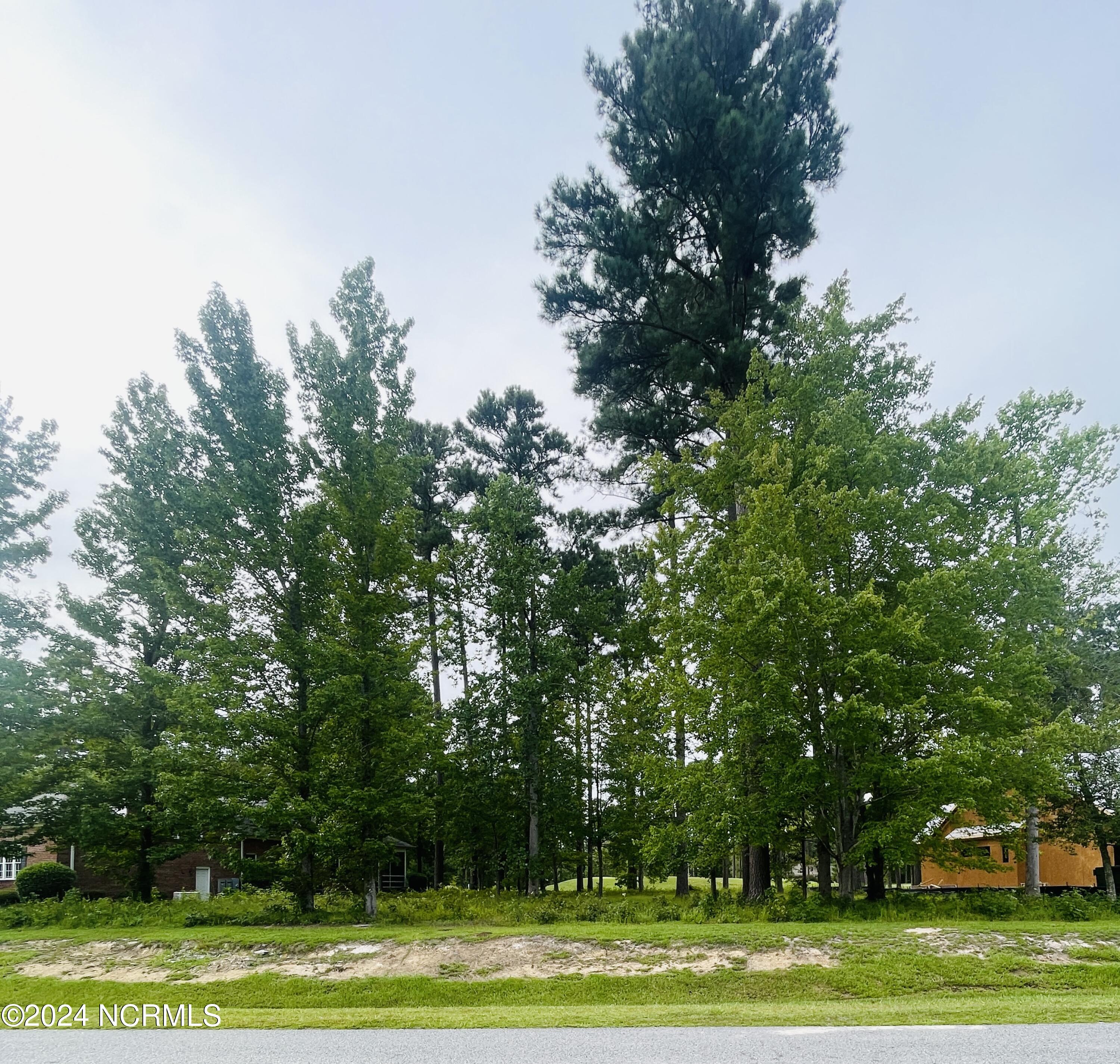 201 Neuse Drive Property Photo 5