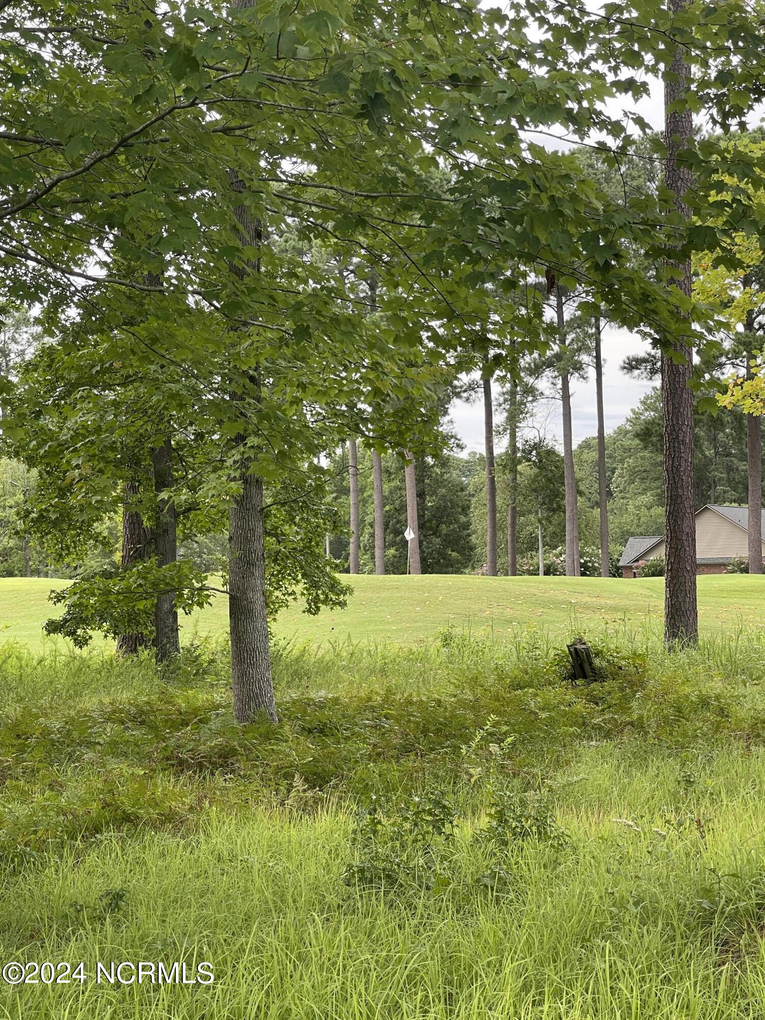 201 Neuse Drive Property Photo 6