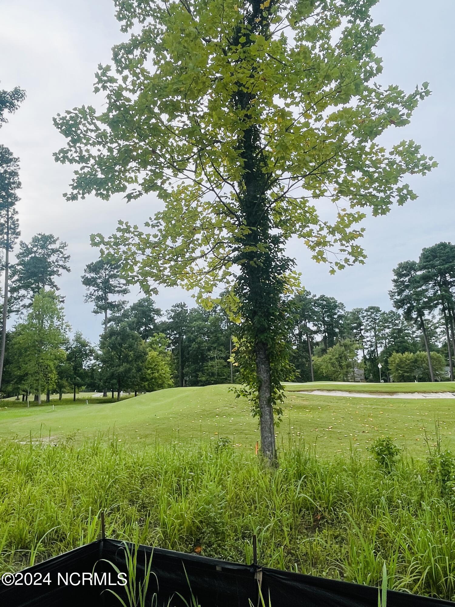 201 Neuse Drive Property Photo 7