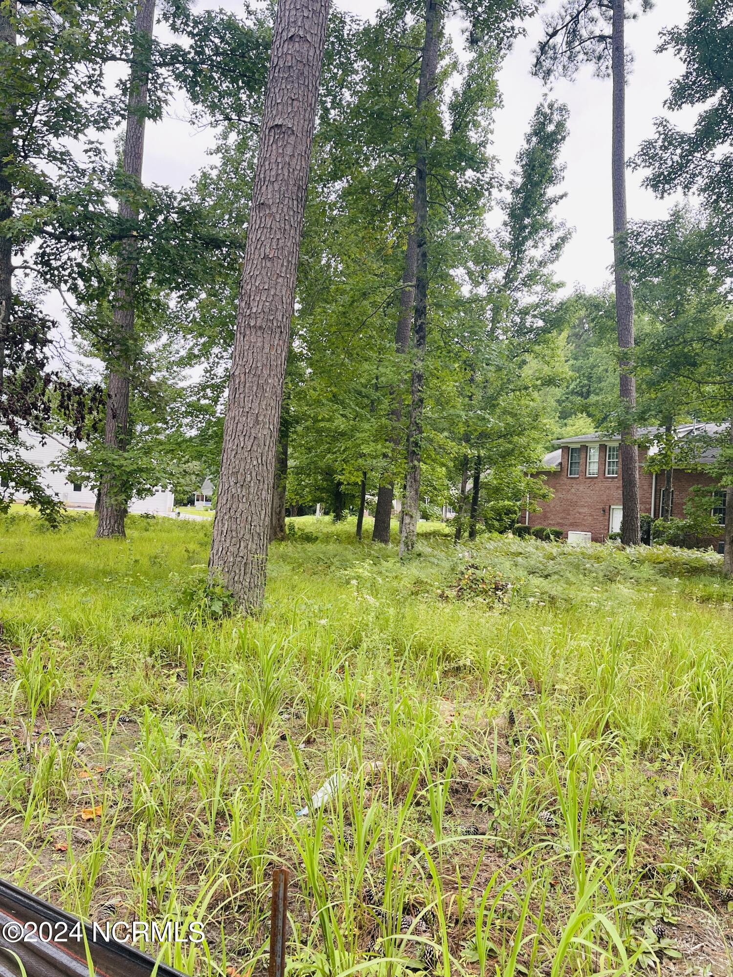 201 Neuse Drive Property Photo 9
