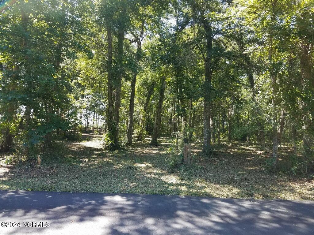 L-2 Schuyler Drive Property Photo 1