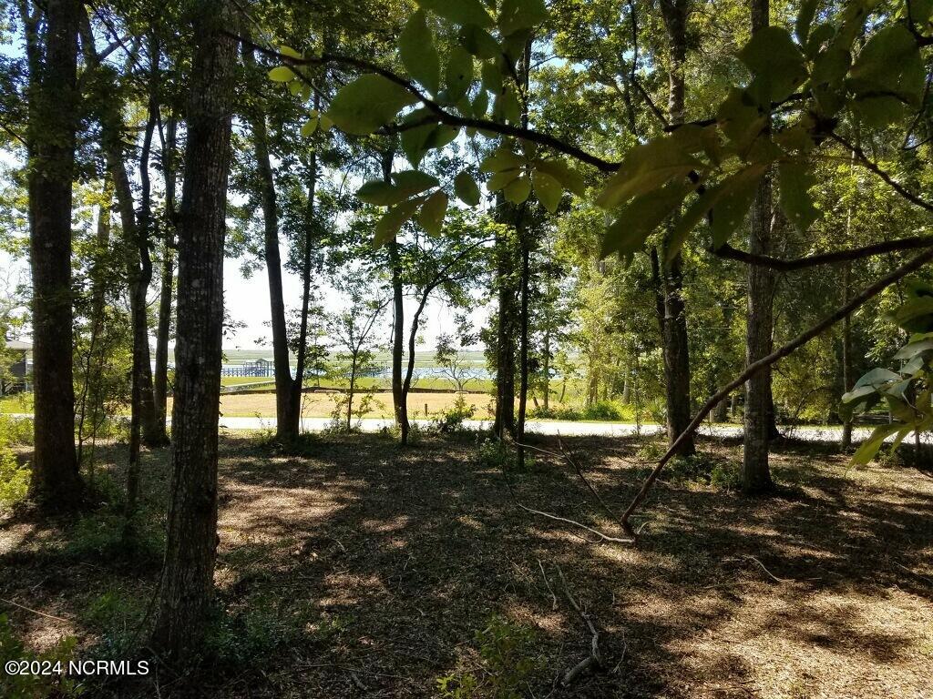 L-2 Schuyler Drive Property Photo 3