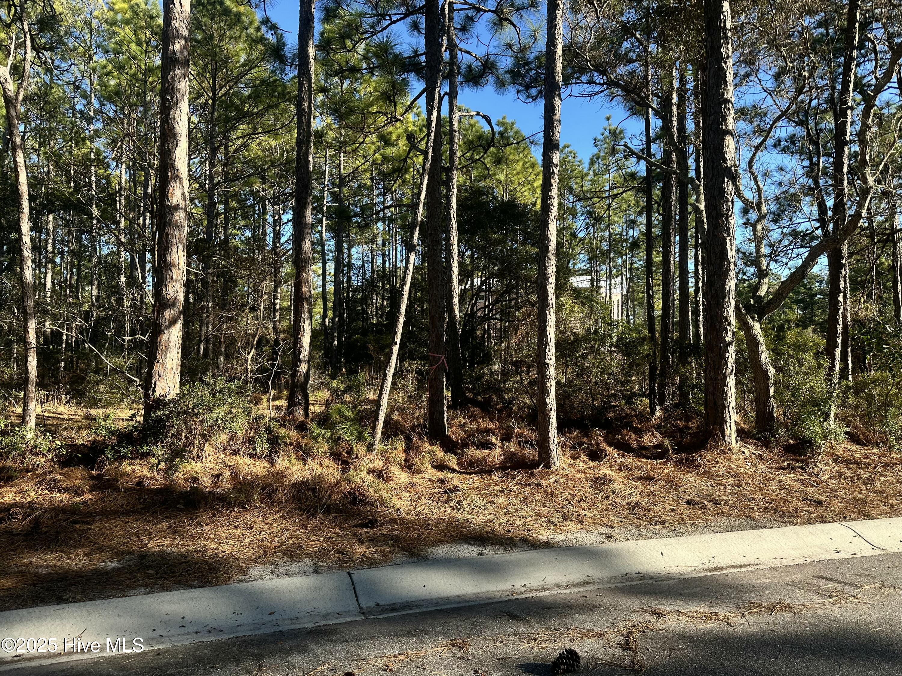 1528 St Vincent Drive Property Photo 1