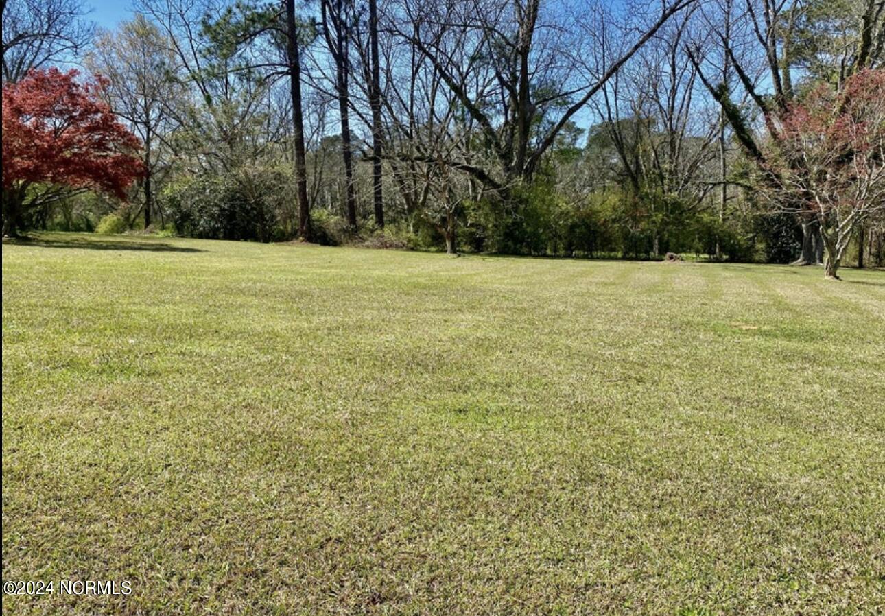 4803 Andrew Jackson Highway Property Photo 5