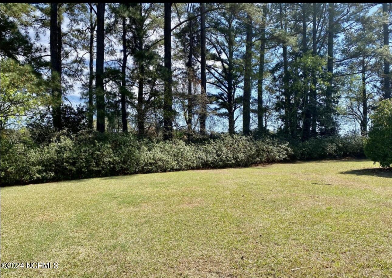 4803 Andrew Jackson Highway Property Photo 6