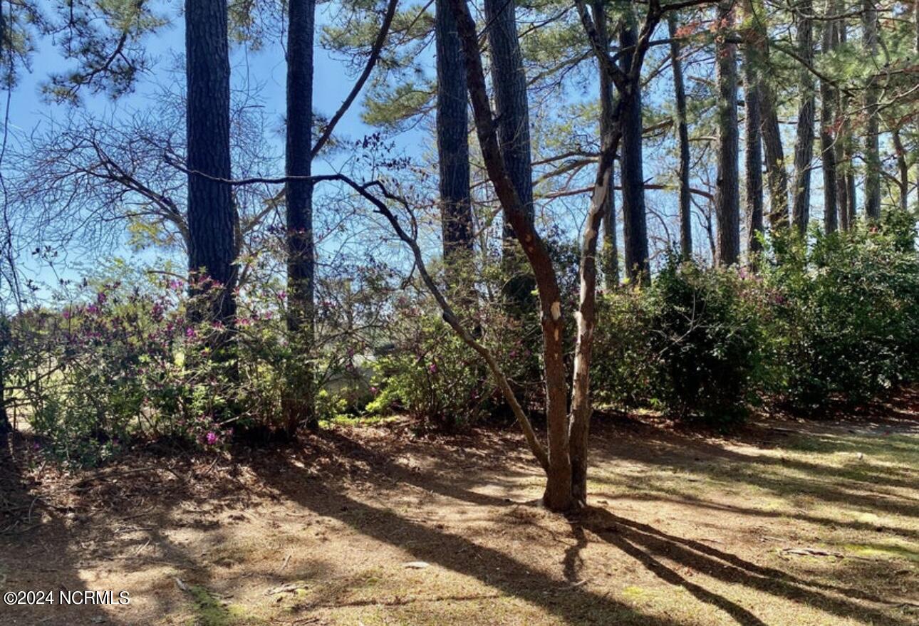 4803 Andrew Jackson Highway Property Photo 12
