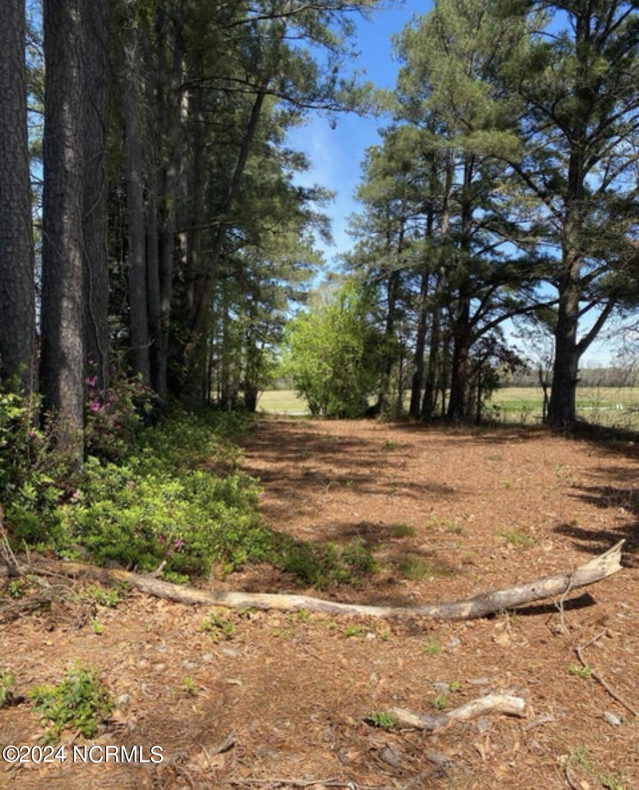 4803 Andrew Jackson Highway Property Photo 13