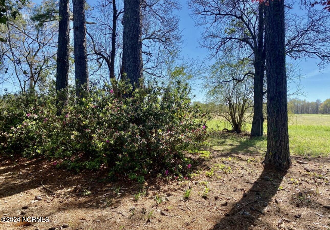 4803 Andrew Jackson Highway Property Photo 14