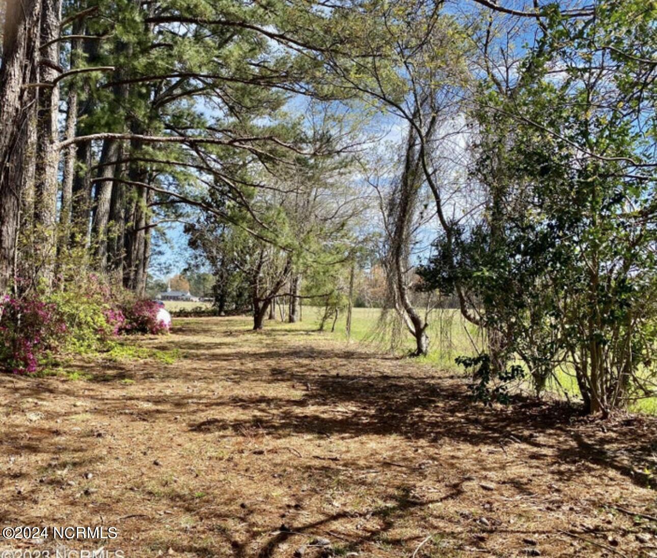 4803 Andrew Jackson Highway Property Photo 15