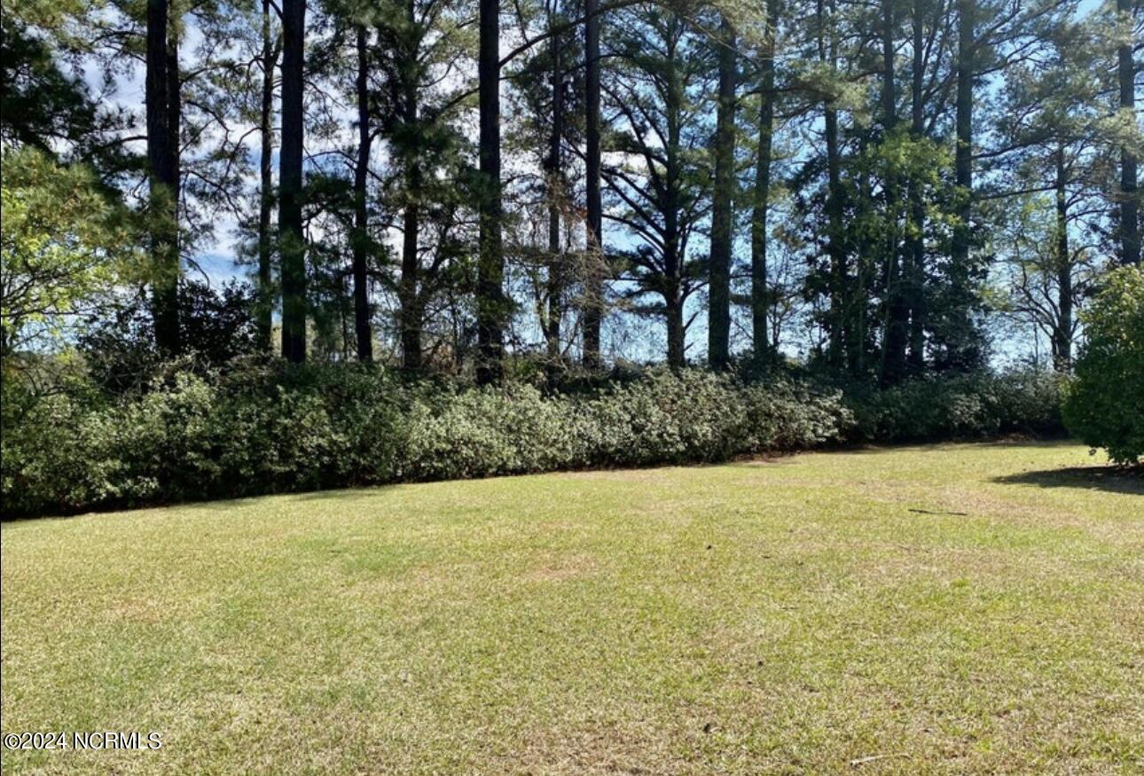 4803 Andrew Jackson Highway Property Photo 17