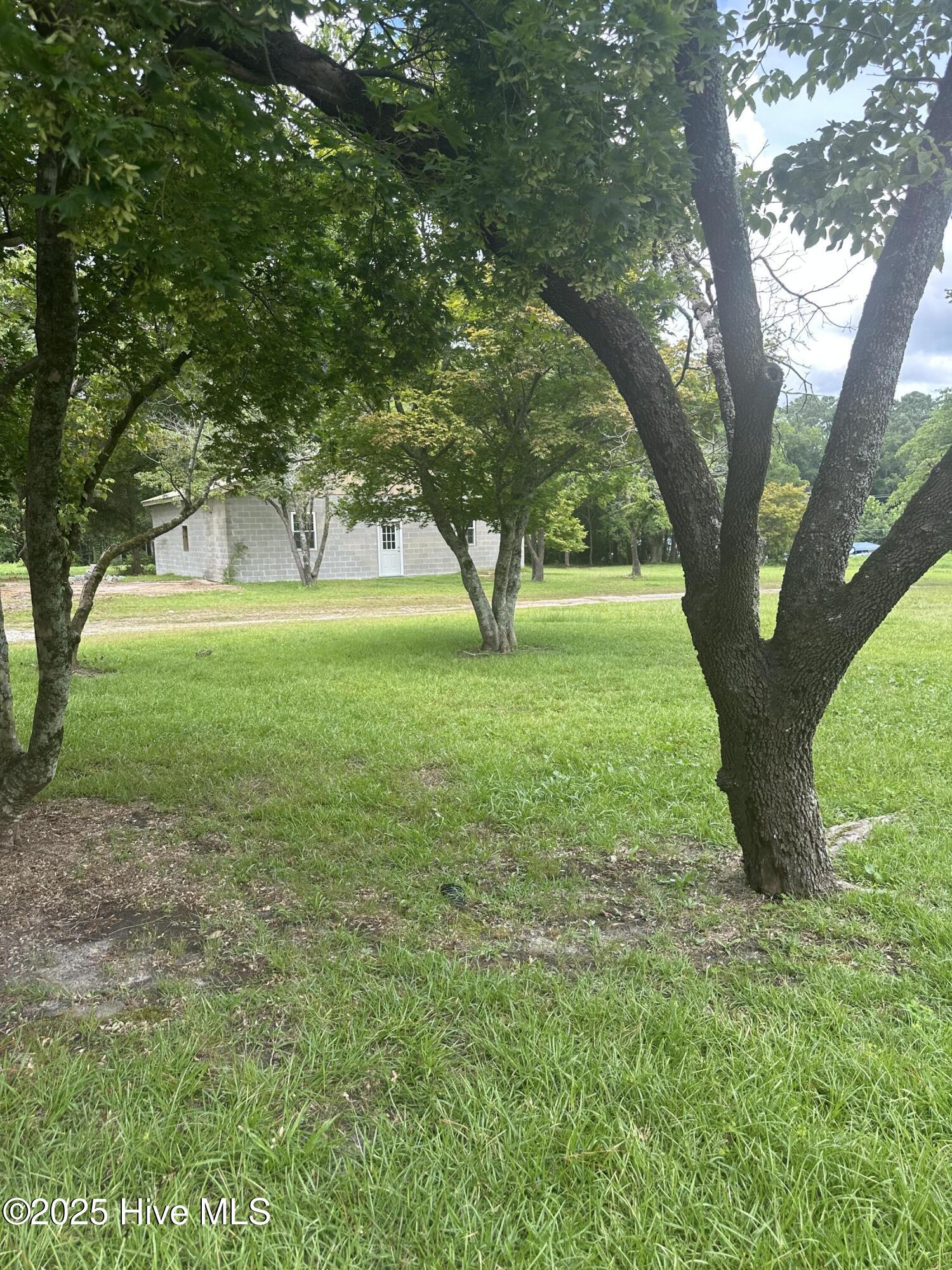 4803 Andrew Jackson Highway Property Photo 66