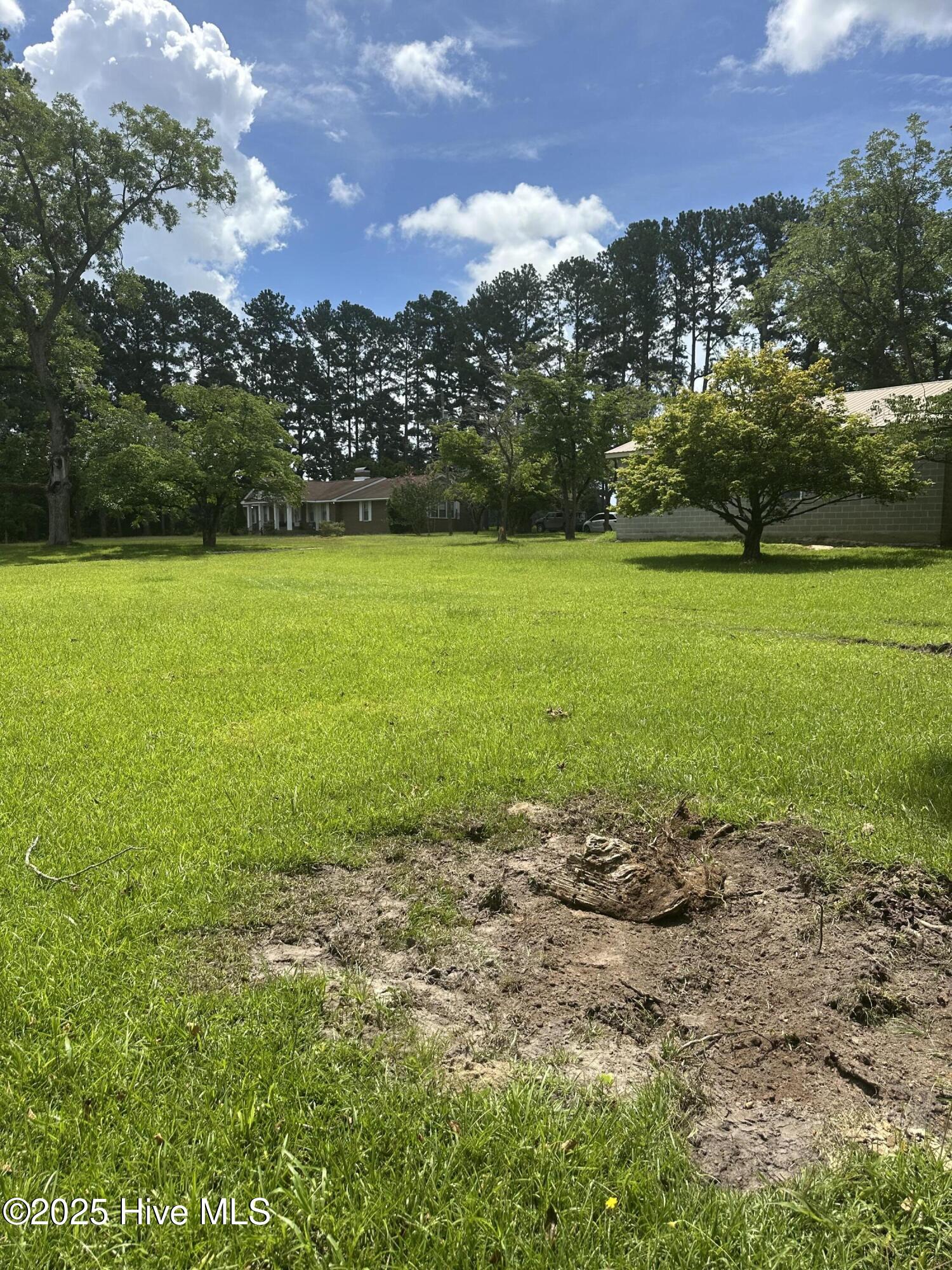 4803 Andrew Jackson Highway Property Photo 69