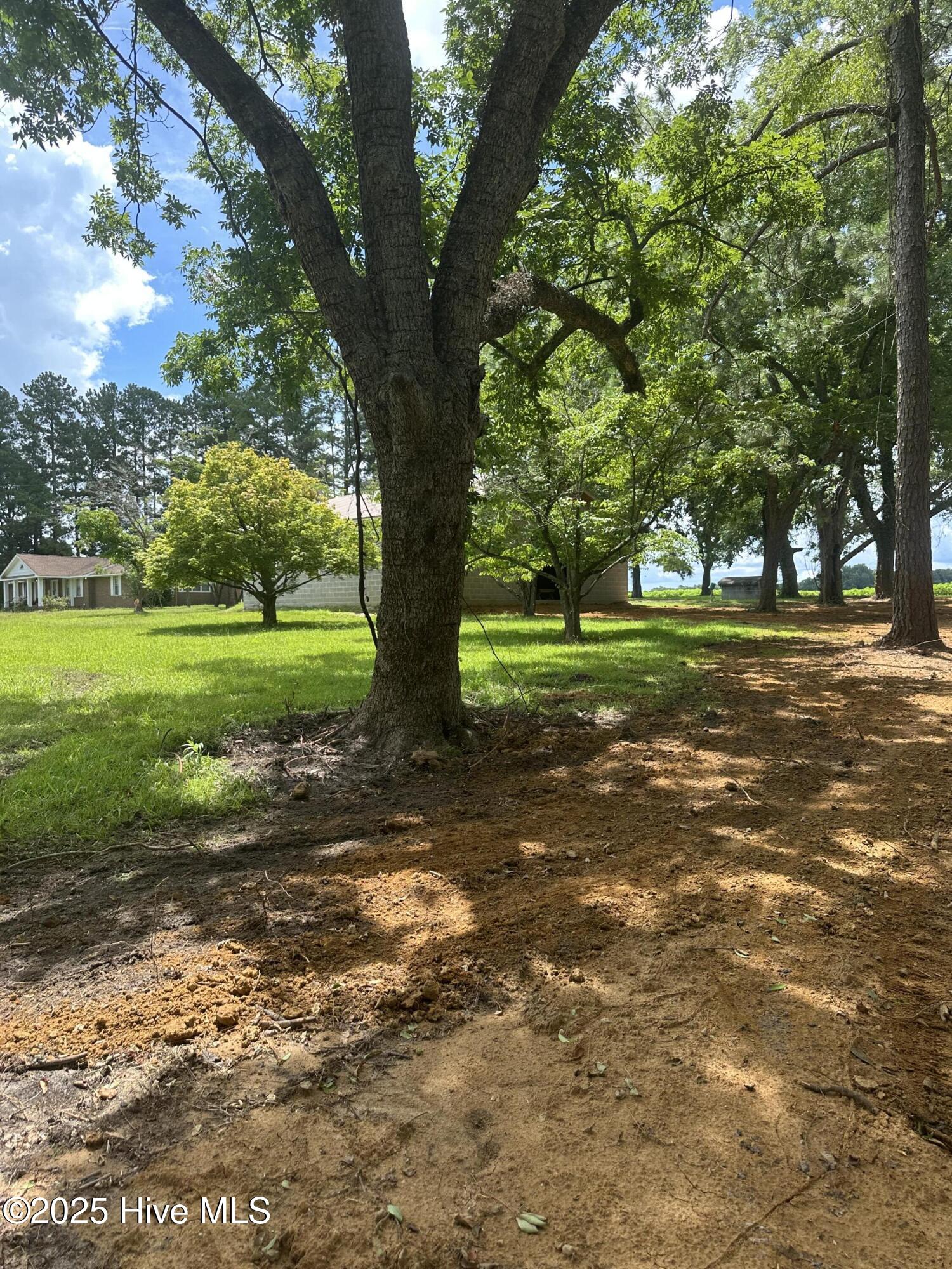 4803 Andrew Jackson Highway Property Photo 70
