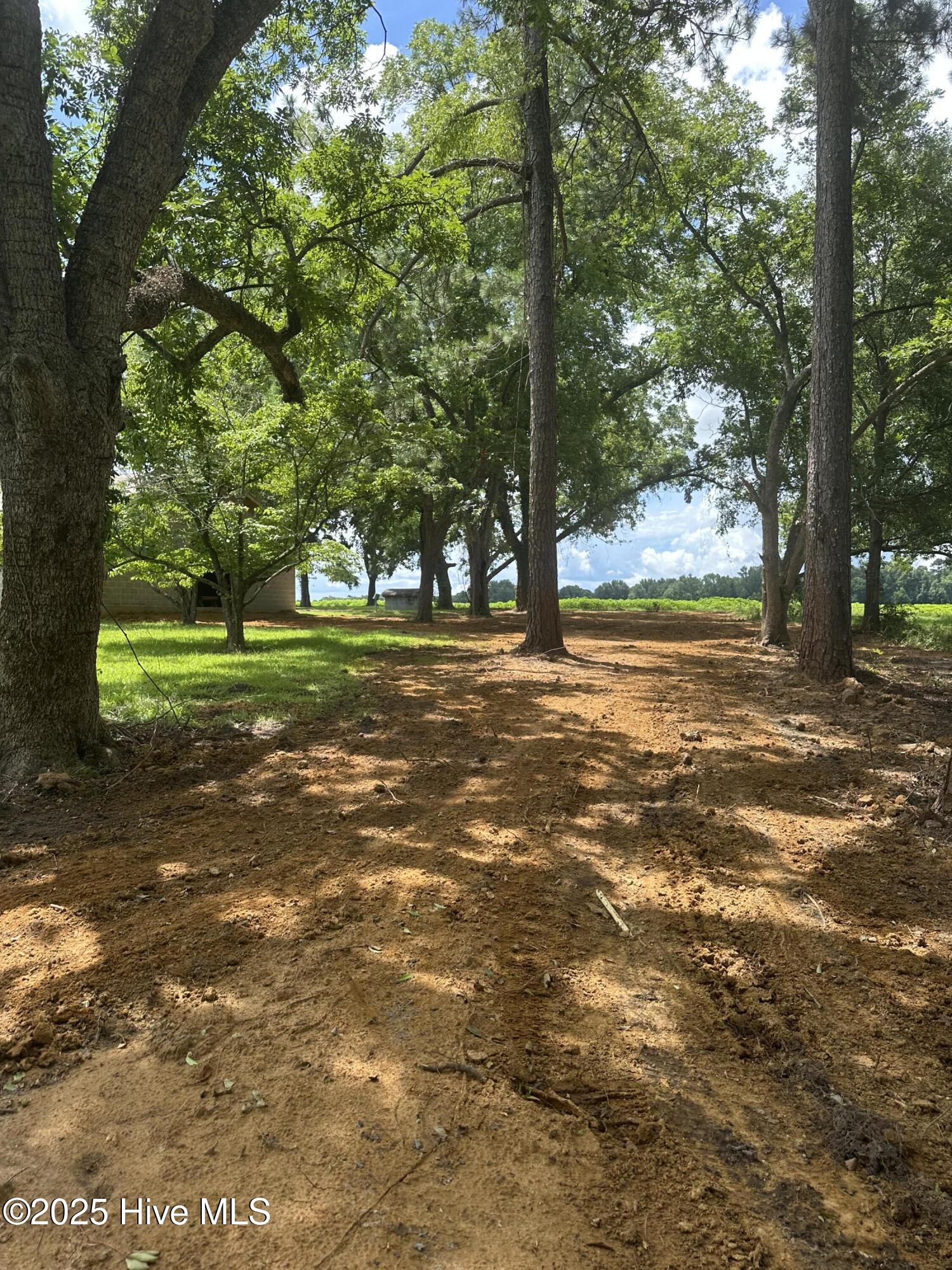4803 Andrew Jackson Highway Property Photo 71